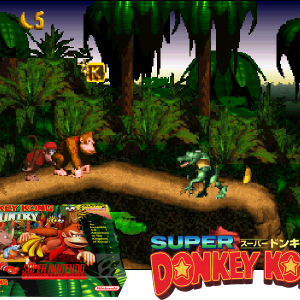 Donkey Kong Country I